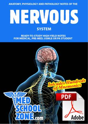 Book cover: Anatomy, physiology and pathology notes of the nervous system