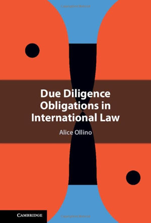 Book cover: Due diligence obligations in international law