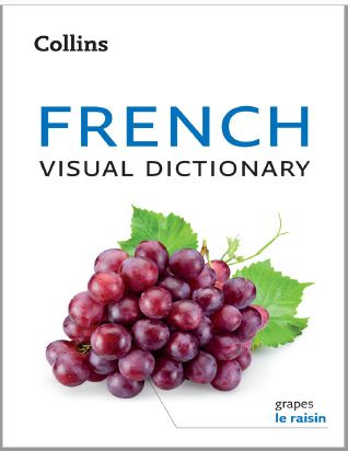 Book cover: French visual dictionary