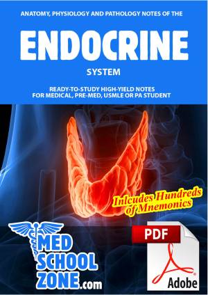 Book cover: Anatomy, physiology and pathology notes of the endocrine system