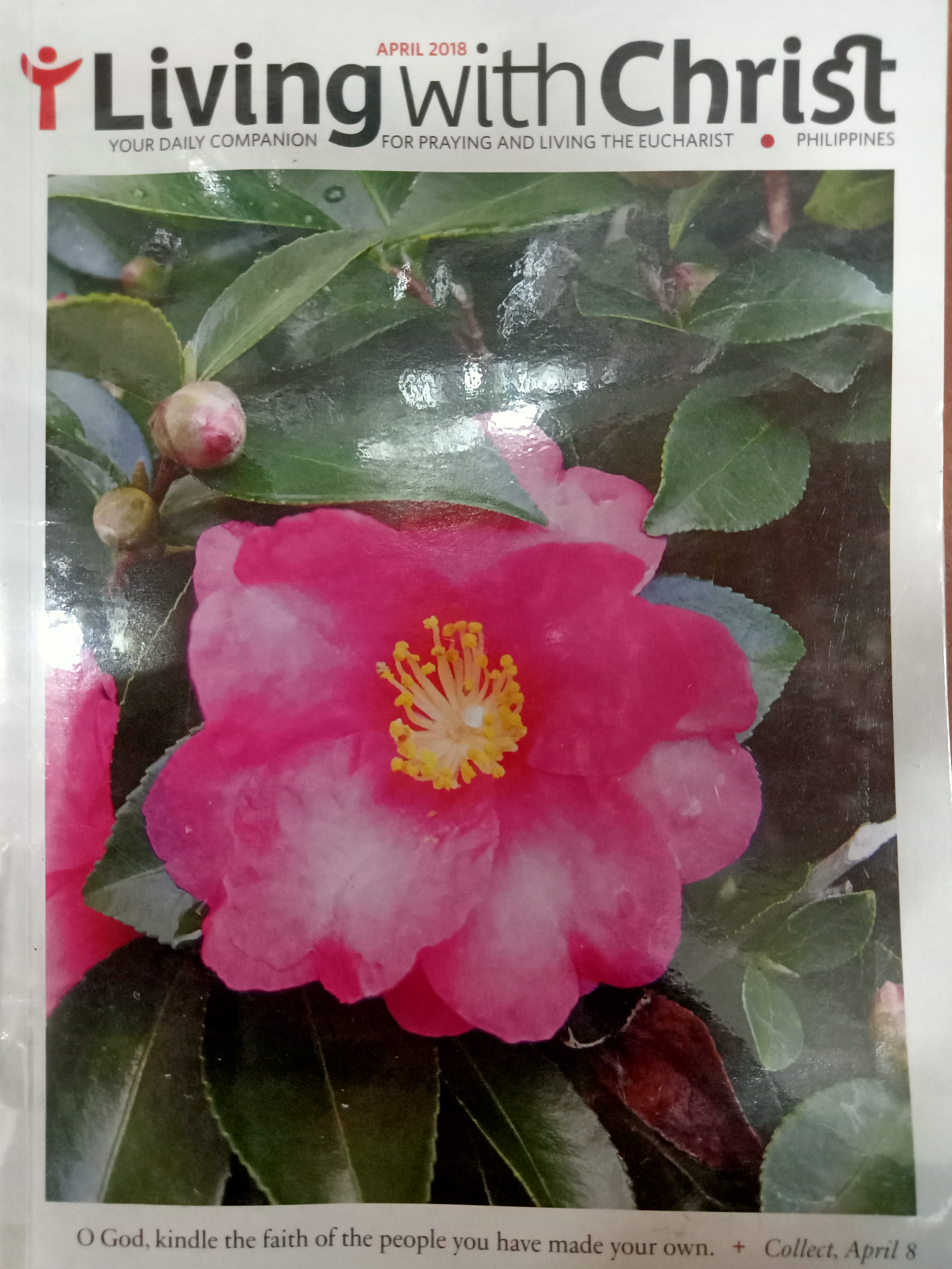 Book cover: Living with Christ