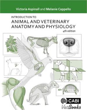 Book cover: Animal veterinary anatomy physiology