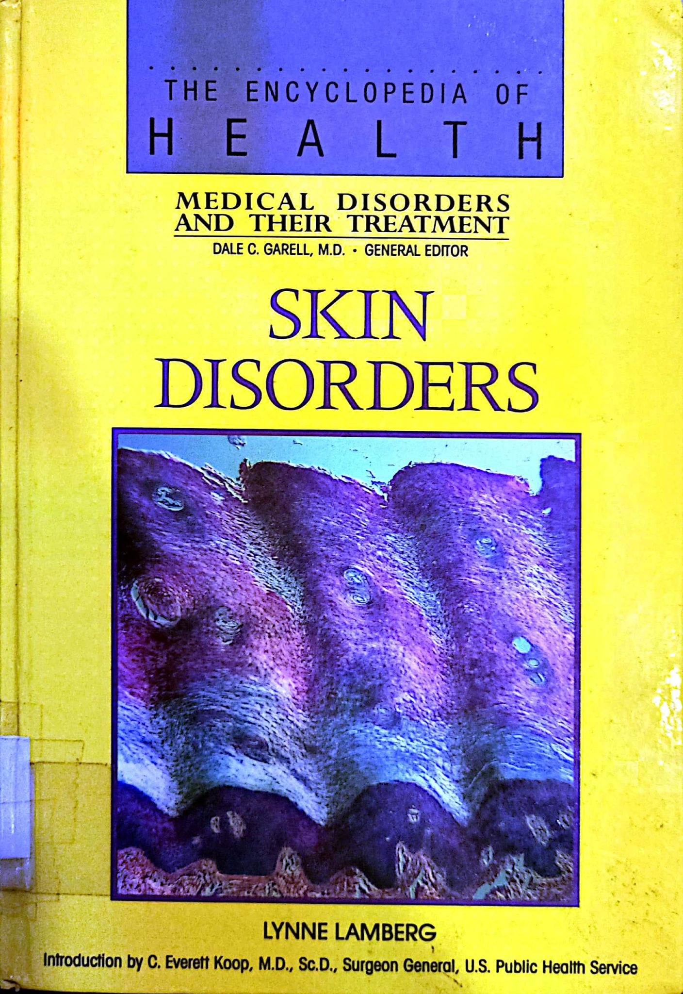 Book cover: Skin disorders