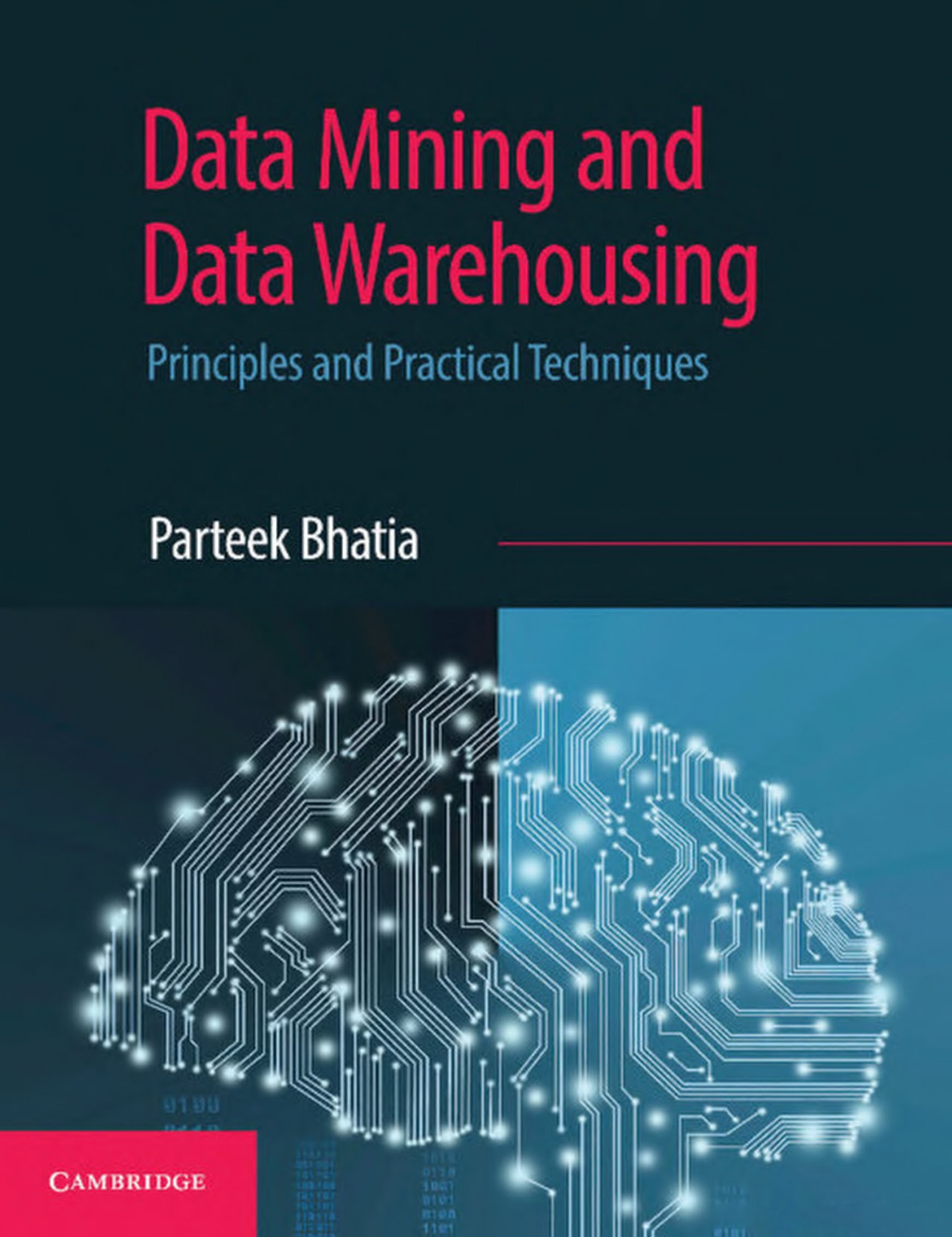 Book cover: Data mining and data warehousing: principles and practical techniques