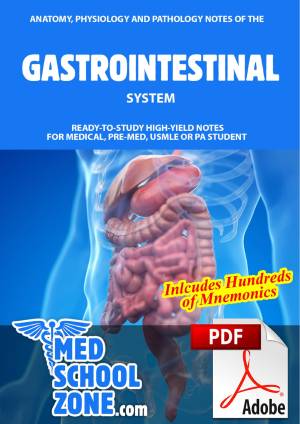 Book cover: Anatomy, physiology and pathology notes of the gastrointestinal system
