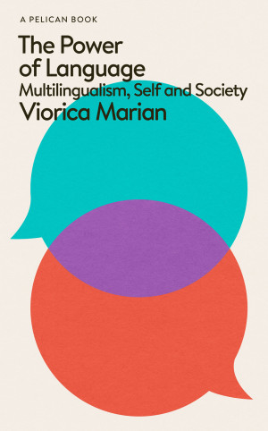 Book cover: The Power of language : multilingualism, self and society