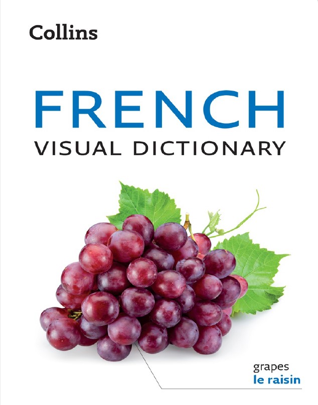 Book cover: French visual dictionary