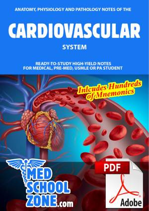 Book cover: Anatomy, physiology and pathology notes of the cardiovascular system