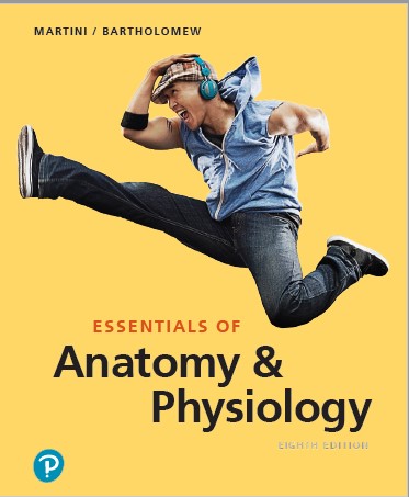 Book cover: Essentials of anatomy & physiology