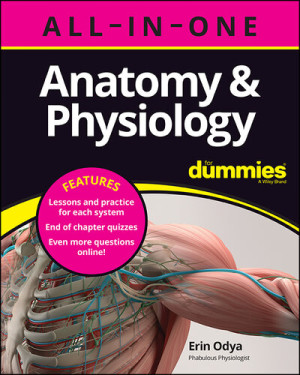 Book cover: Anatomy & physiology all-in-one for dummies