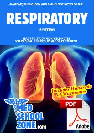 Book cover: Anatomy, physiology and pathology notes of the respiratory system
