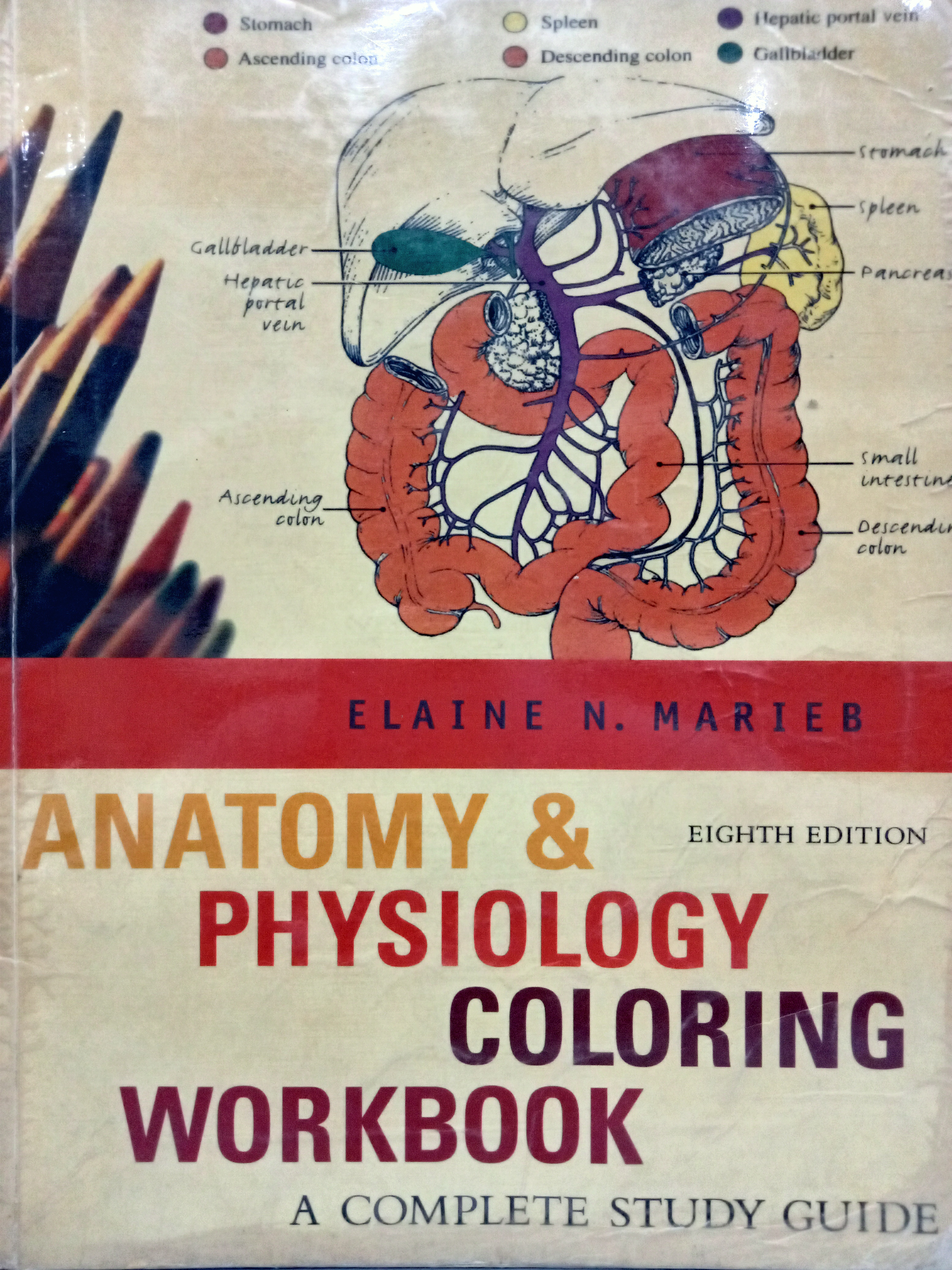 Book cover: Anantomy & physiology coloring workbok : a complete study guide