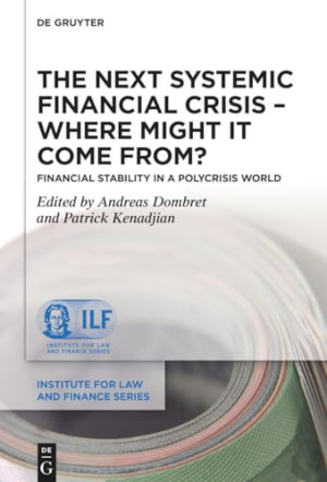 Book cover: The Next systemic financial crisis – where might it come from? : financial stability in a polycrisis world