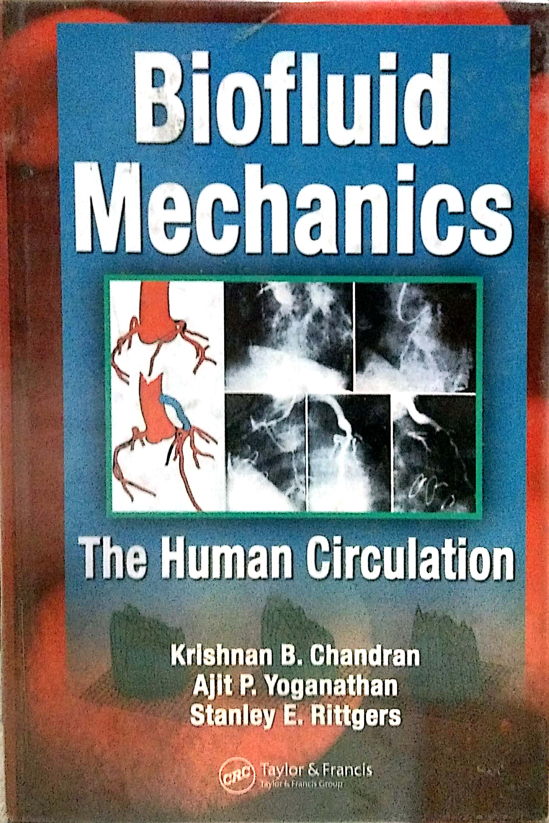 Book cover: Biofluid mechanics: the human circulation.
