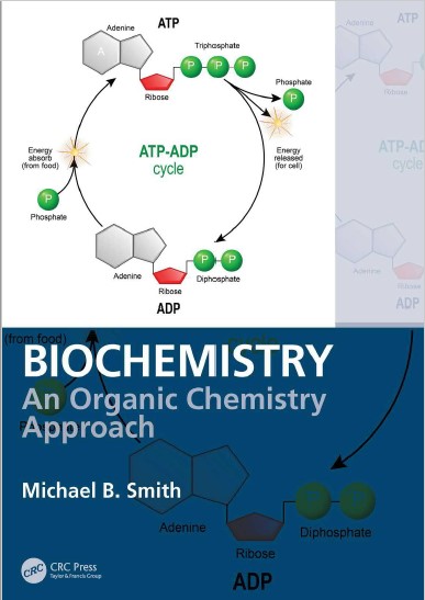 Book cover: Biochemistry: an organic chemistry approach